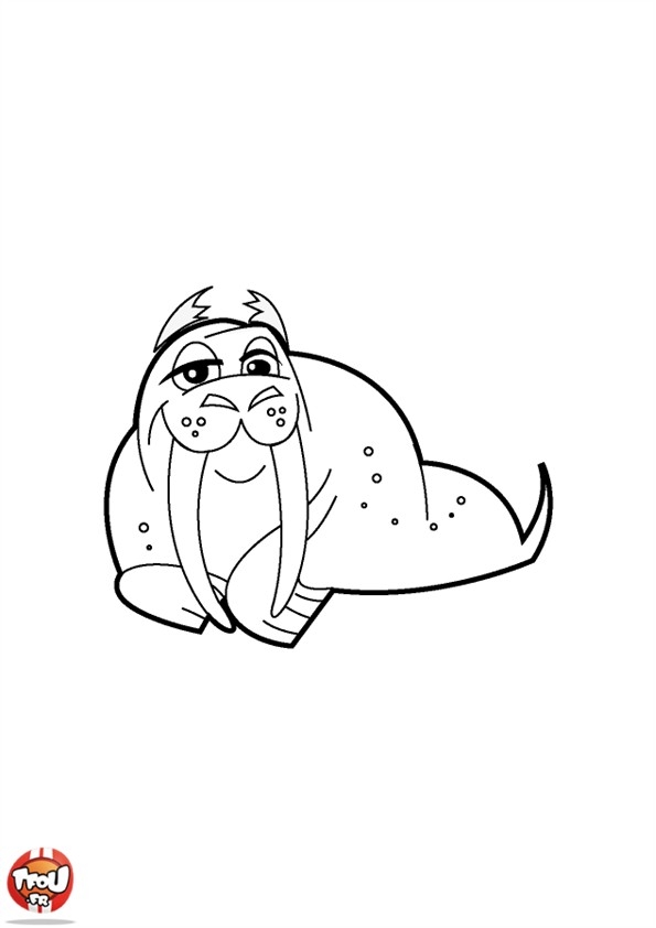 Kolorowanka do druku z wesołym walrusem dla dzieci - Pobierz i koloruj! kolorowanka do druku